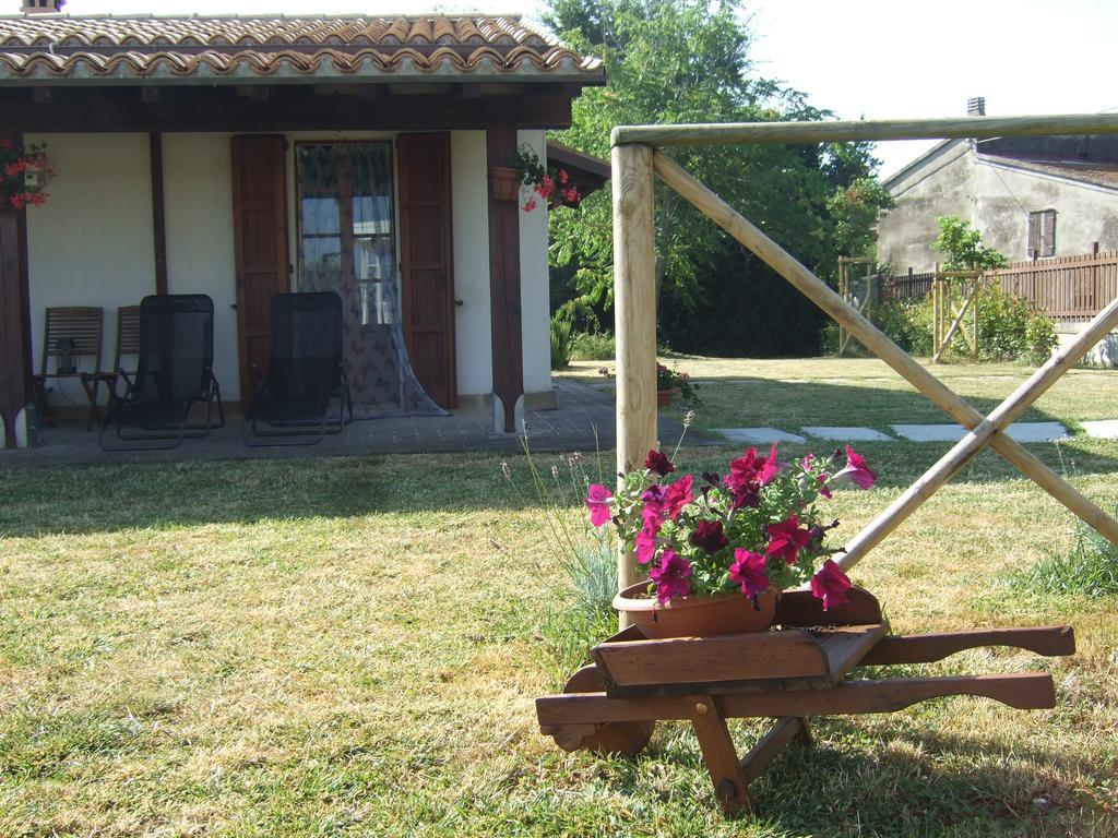 Agriturismo La Casa Della Lavanda - Il Rustico 玛里纳蒂蒙迪马茨 外观 照片