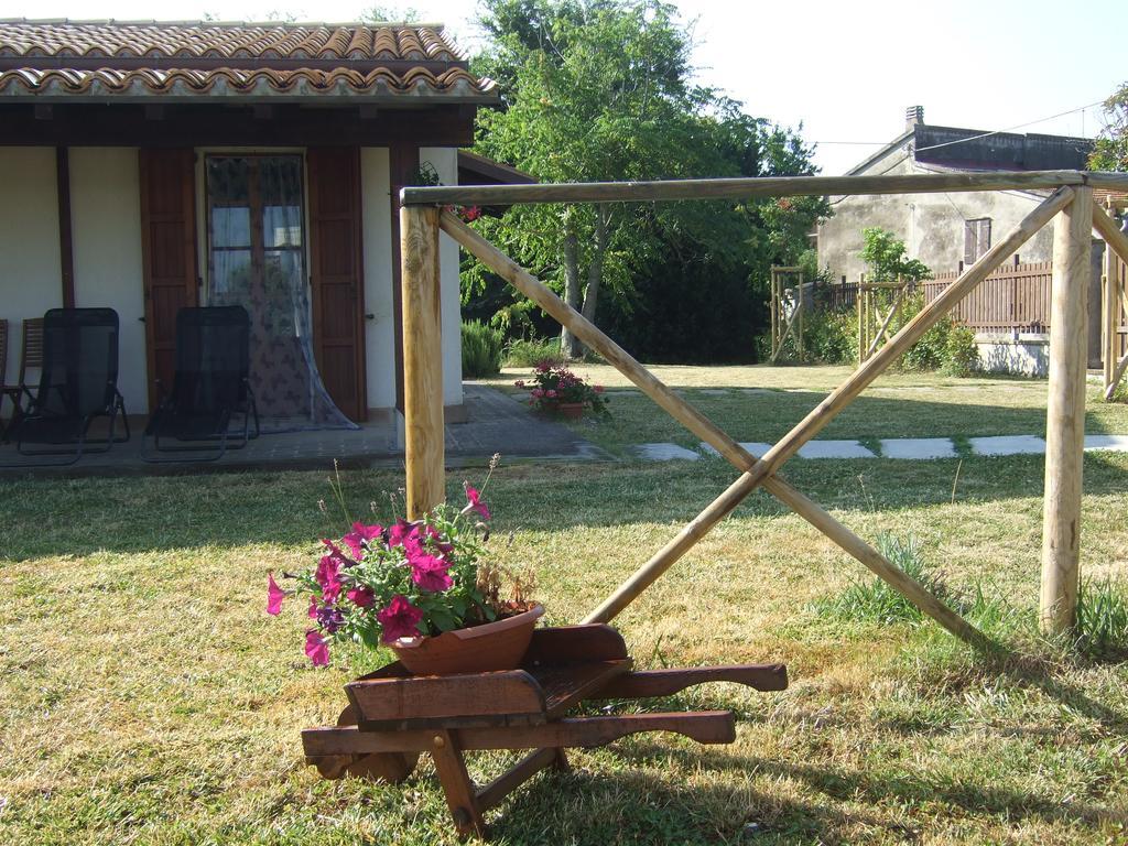 Agriturismo La Casa Della Lavanda - Il Rustico 玛里纳蒂蒙迪马茨 外观 照片