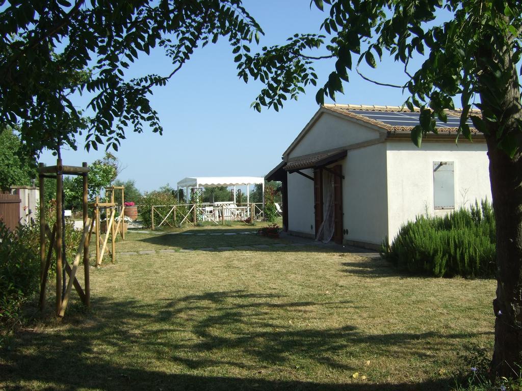 Agriturismo La Casa Della Lavanda - Il Rustico 玛里纳蒂蒙迪马茨 外观 照片