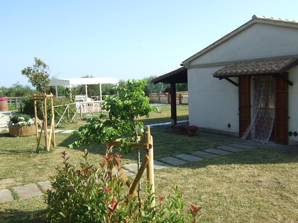 Agriturismo La Casa Della Lavanda - Il Rustico 玛里纳蒂蒙迪马茨 外观 照片